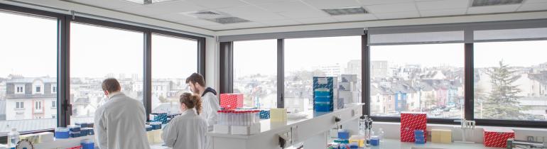 2018-ibrbs-laboratoire-umr1078-deroche594.jpg