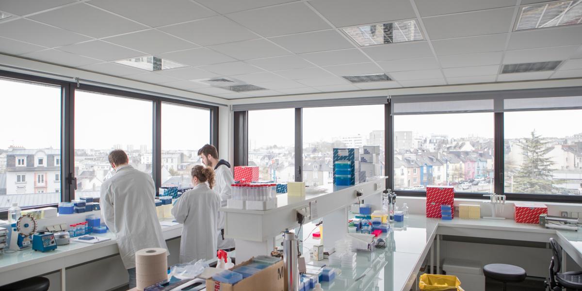 2018-ibrbs-laboratoire-umr1078-deroche594.jpg